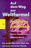 Auf dem Weg zur Weltformel - Paul Davies, John Gribbin