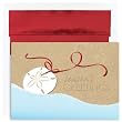 Greetings From The Beach Tropical Holiday Cards -