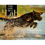 The Life of a Lab