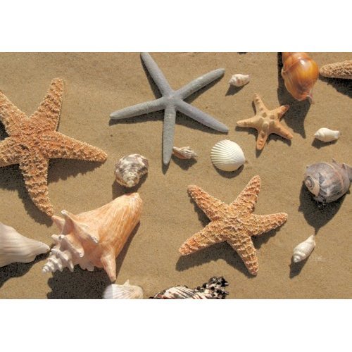 Scout Fo Flor Large Rug, Beachcomber
