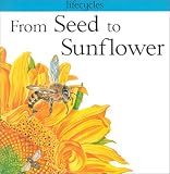  : From Seed to Sunflower (Lifecycles)
