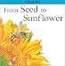 Books : From Seed to Sunflower (Lifecycles)