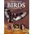 Southern African Birds: A Photographic Guide