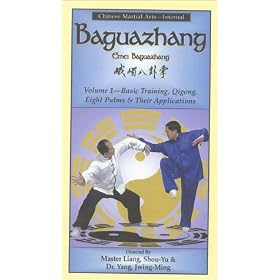 Baguazhang 1 - Basic Training, Qigong, and Eight Palms [VHS]