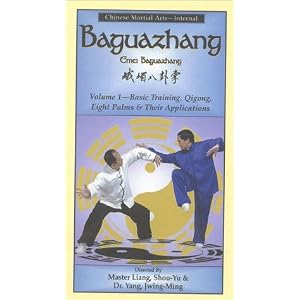 Baguazhang 1 - Basic Training, Qigong, and Eight Palms [VHS] by Self Defense Videos