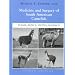 My Favorite Alpaca Books