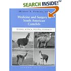 Medicine and Surgery of South American Camelids: Llama, Alpaca, Vicuna, Guanaco by  Murray E. Fowler