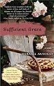 Sufficient Grace: A Novel