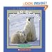 Polar Bears (True Books)
