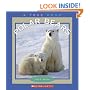Polar Bears (True Books)