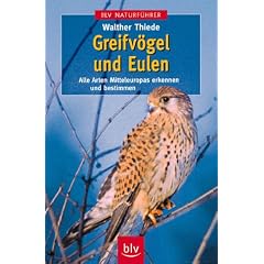 Greifv�gel und Eulen. Alle Arten Mitteleuropas erkennen und bestimmen