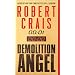 Demolition Angel