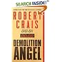 Demolition Angel