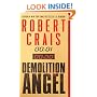 Demolition Angel