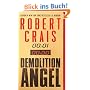 Demolition Angel