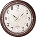 CITIZEN (�V�`�Y��) �|�����v �d�g���v �T�C�����g�\�[���[M796 �ؘg �\�[���[�d�����p 4MY796-006