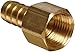 Anderson Metals Brass Hose Fitting, Connector, 5/16