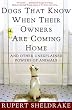 Dogs That Know When Their Owners Are Coming Home: And Other Unexplained Powers of Animals