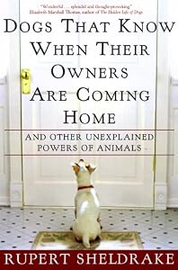 Image of Dogs That Know When Their Owners Are Coming Home: And Other Unexplained Powers of Animals