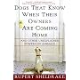 Dogs That Know When Their Owners Are Coming Home: &hellip by Rupert Sheldrake