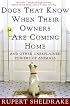 Dogs That Know When Their Owners Are Coming Home: And Other Unexplained Powers of Animals