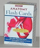 Barron`s Anatomy Flash Cards