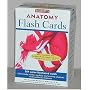 Barron's Anatomy Flash Cards