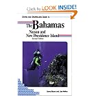 Diving and Snorkeling Guide to the Bahamas Nassau and New Providence Island (Pisces Diving and... by Steve Blount and Lisa Walker