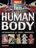 The human body