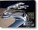 1935 Ford Greyhound Canvas Print / Canvas Art - Artist Susan Isakson