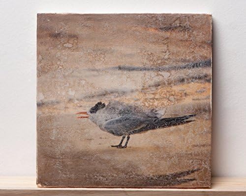 Surf Bird: Decorative Travertine Tile Photo Transfer Mixed Media Art on 6x6 Travertine Tile - Tern on Beach