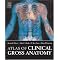 1st year med student's survival guide