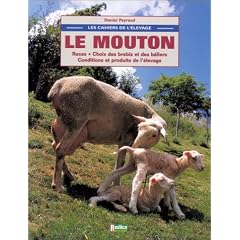 Le mouton