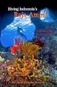 Diving Indonesia's Raja Ampat