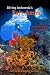 Diving Indonesia's Raja Ampat