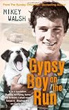 Gypsy Boy on the Run