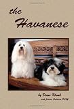 the Havanese