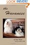 the Havanese