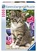 Ravensburger Cat In The Garden 1000pc Jigsaw Puzzle