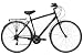Activ Fifth Avenue Mens Town & Comfort Bike - Frame Size 19 inches - Made by Raleigh
