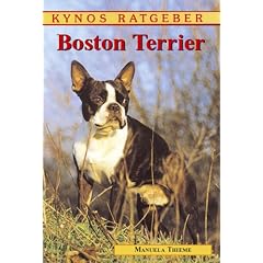 Boston Terrier