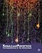 Signals and Perception: The Fundamentals of Human Sensation