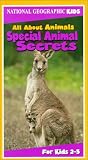 All About Animals: Special Animal Secrets [VHS] [Import]