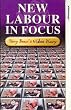 New Labour in Focus-Tony Benn Diary [VHS]