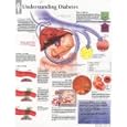 Understanding Diabetes chart by Various