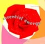 Essential Energy: A Guide to Aromatherapy & Essential Oils