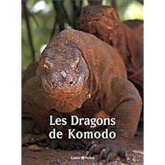 Les dragons de Komodo