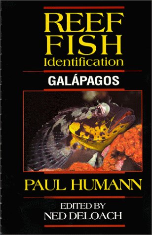 Publications
