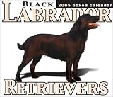 Black Labrador Retrievers 2005 Boxed Calendar