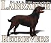 Black Labrador Retrievers 2005 Boxed Calendar